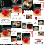 酸梅汤详情