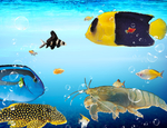 海底生物