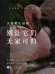 保护野生动物图片