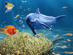 海底生物