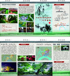 从化木棉风貌宣传四折页