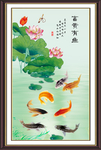 富贵有余