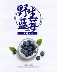 蓝莓海报