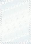 银庄 金融证书纹