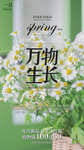万物生长