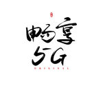 畅享5G