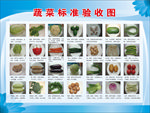 厨房4D素菜标准