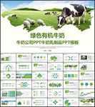 牛奶公司PPT牛奶乳制品PPT