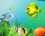 海底生物