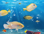 海底生物