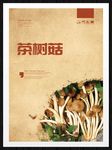 茶树菇