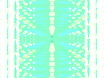 地毯