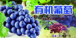 葡萄