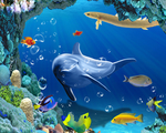 海底世界