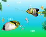 海底世界