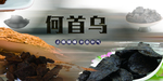 何首乌