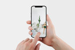 IPhone X 样机
