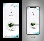小暑