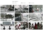 杭州雪景杭州西湖景色冬天冬季雪