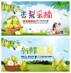 香梨