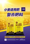 小麦肥海报