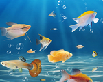 海底世界