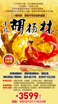 胡杨林旅游 胡杨林海报 胡杨林