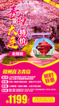 青岛旅游 青岛旅游海报