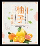 柚子红心柚子沙田柚红肉柚子西柚