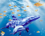 海洋馆