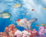 海底生物