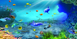 海底生物