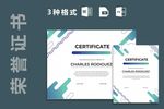 专业证书/文凭模板 荣誉证书