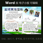 word版电子小报盐城黄海湿地