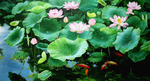 荷花九鱼图油画