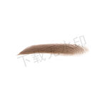 眉毛女生素材
