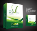 绿色手提袋 手提袋设计 手提袋