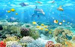 3D海底世界海豚热带鱼电视背景
