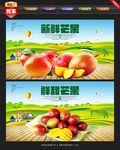 芒果 芒果海报 芒果采摘