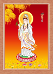 观音菩萨 佛光普照