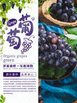 葡萄促销