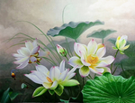 荷花油画