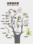生物进化树