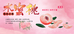 水蜜桃 肖