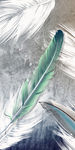 羽毛高清玄关画 TIF分层