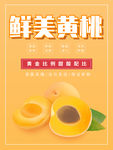 鲜美黄桃 黄桃宣传
