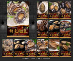 鲍鱼 鲍鱼海报 鲍鱼展板