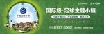 房地产草地足球户外