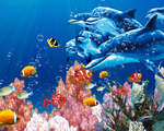 海底世界