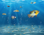 海底世界